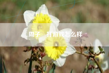 周子珺打游戏怎么样
