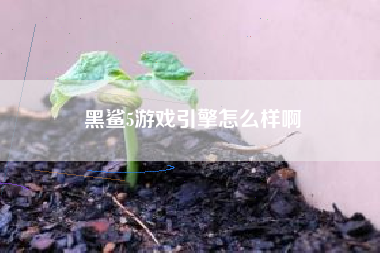 黑鲨5游戏引擎怎么样啊