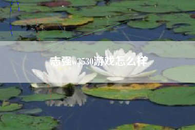 志强w3530游戏怎么样