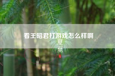 看王昭君打游戏怎么样啊