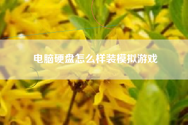 电脑硬盘怎么样装模拟游戏