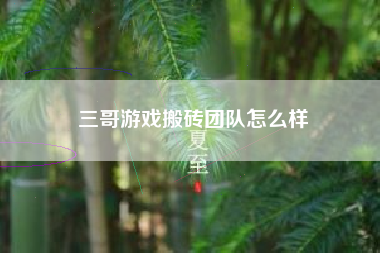 三哥游戏搬砖团队怎么样