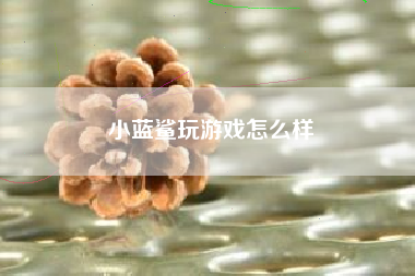 小蓝鲨玩游戏怎么样