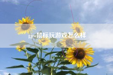 gpw鼠标玩游戏怎么样