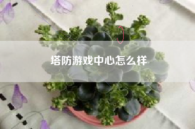 塔防游戏中心怎么样