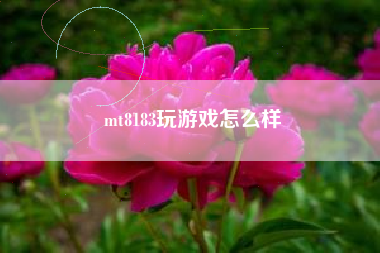 mt8183玩游戏怎么样