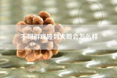 不同游戏碰到大哥会怎么样