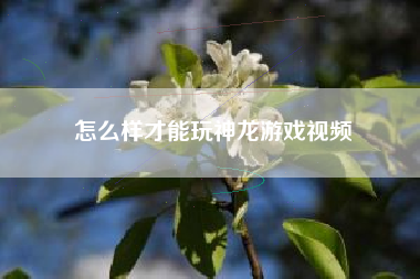 怎么样才能玩神龙游戏视频