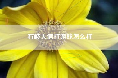 石岐大信打游戏怎么样