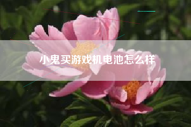 小鬼买游戏机电池怎么样