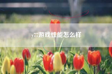 y77游戏性能怎么样