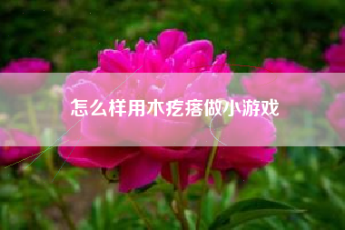 怎么样用木疙瘩做小游戏