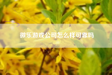 微乐游戏公司怎么样可靠吗