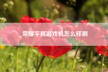 荣耀平民游戏机怎么样啊