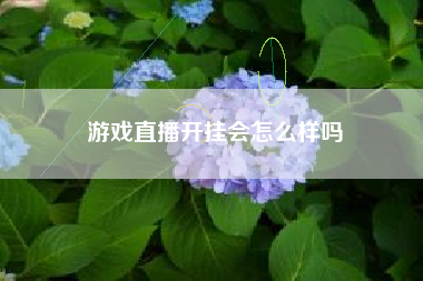 游戏直播开挂会怎么样吗