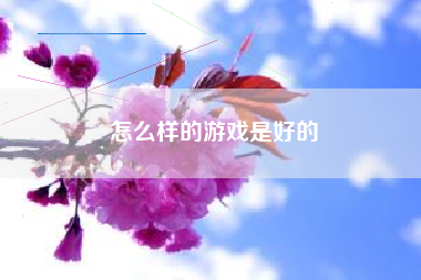 怎么样的游戏是好的