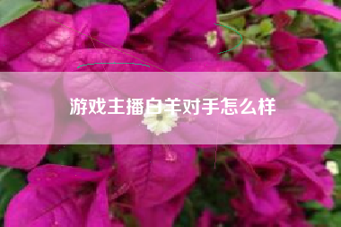 游戏主播白羊对手怎么样