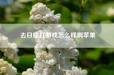 去日服打游戏怎么样啊苹果