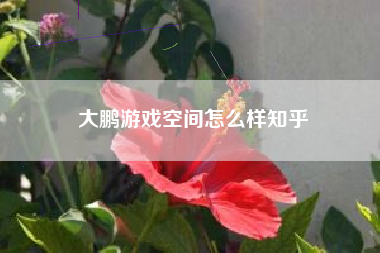 大鹏游戏空间怎么样知乎