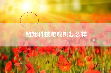 雄翔科技游戏机怎么样