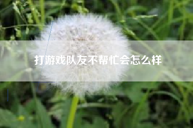 打游戏队友不帮忙会怎么样
