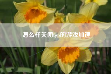 怎么样关闭tgp的游戏加速