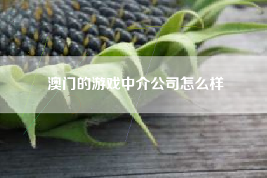 澳门的游戏中介公司怎么样