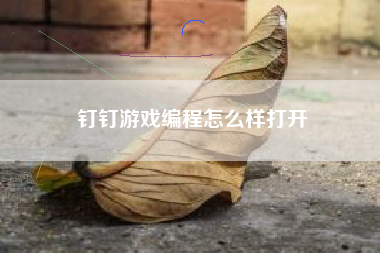 钉钉游戏编程怎么样打开