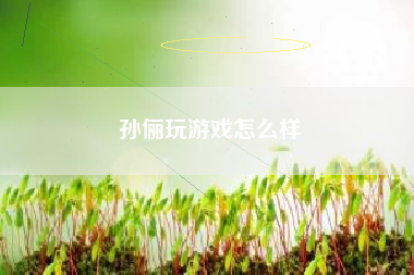 孙俪玩游戏怎么样