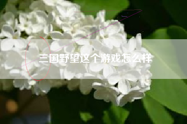 三国野望这个游戏怎么样