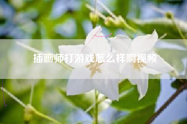 插画师打游戏怎么样啊视频