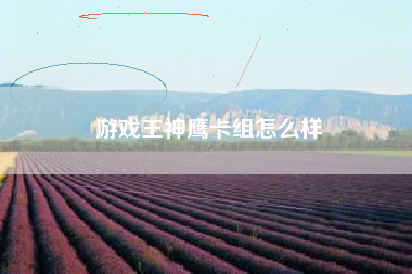 游戏王神鹰卡组怎么样