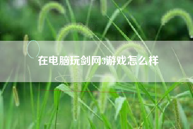 在电脑玩剑网3游戏怎么样