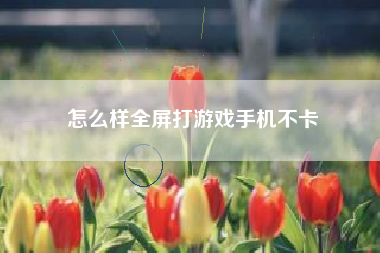 怎么样全屏打游戏手机不卡