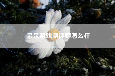 呆呆游戏测评师怎么样