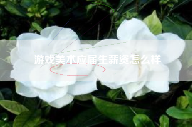 游戏美术应届生薪资怎么样