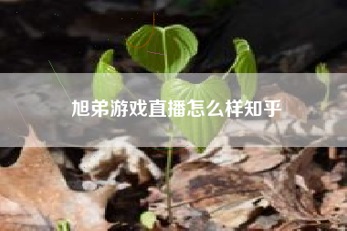 旭弟游戏直播怎么样知乎