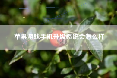 苹果游戏手机升级系统会怎么样