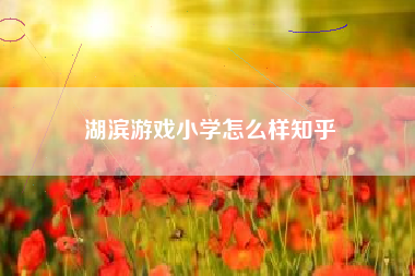 湖滨游戏小学怎么样知乎