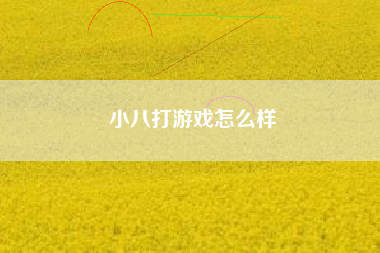 小八打游戏怎么样