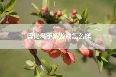 奥比岛手游游戏怎么样