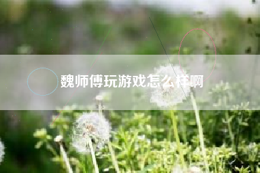 魏师傅玩游戏怎么样啊