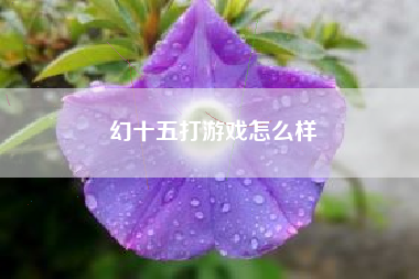 幻十五打游戏怎么样