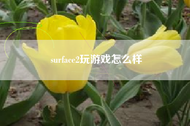 surface2玩游戏怎么样