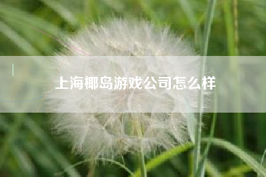 上海椰岛游戏公司怎么样