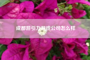 成都游引力游戏公司怎么样