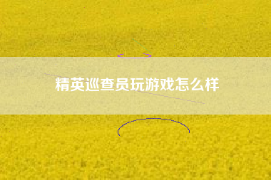 精英巡查员玩游戏怎么样