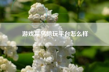 游戏菜鸟陪玩平台怎么样