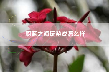 蔚蓝之海玩游戏怎么样