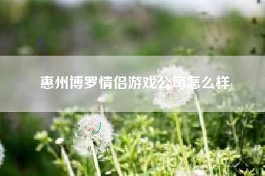 惠州博罗情侣游戏公司怎么样